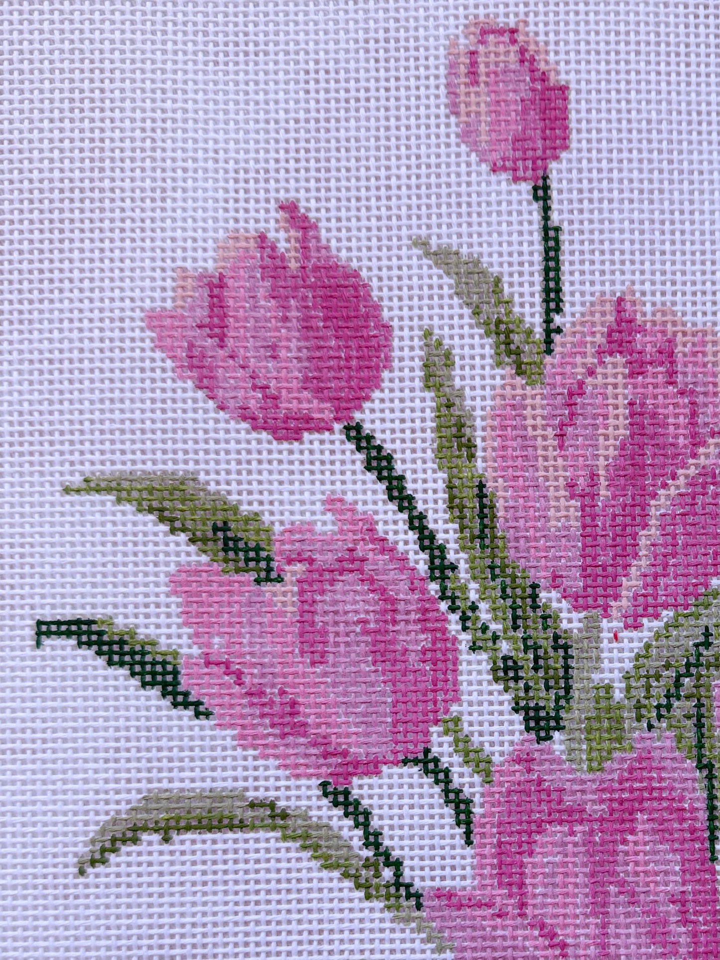 Tulip Bouquet Canvas