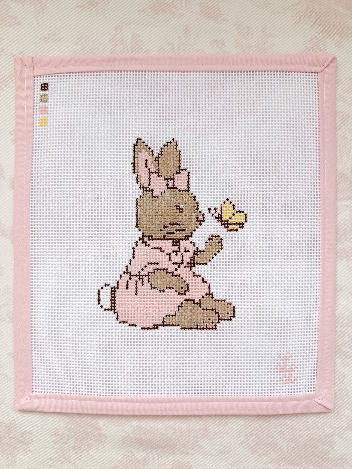 Pink Bunny Canvas